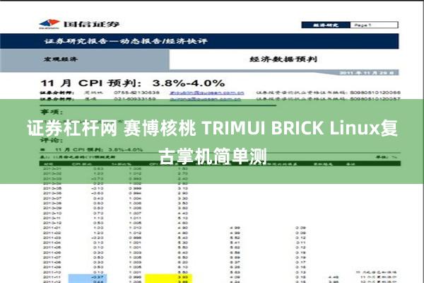 证券杠杆网 赛博核桃 TRIMUI BRICK Linux复