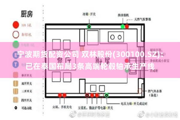 宁波期货配资公司 双林股份(300100.SZ)：已在泰国布