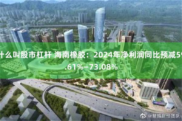 什么叫股市杠杆 海南橡胶：2024年净利润同比预减59.61