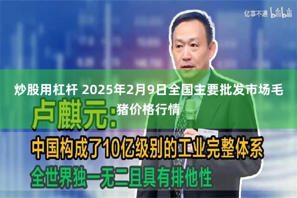 炒股用杠杆 2025年2月9日全国主要批发市场毛猪价格行情